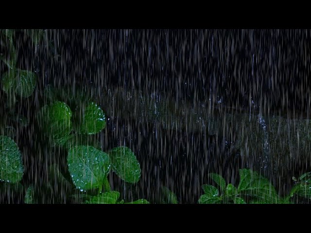 Amazing Heavy Rain Sound Instantly in 5 Minutes Fall Asleep Beat insomnia with raindrops on the roof