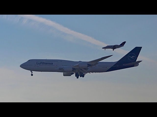 4K | Lufthansa Boeing 747-8 (D-ABYA) new livery -  low pass Airport Bremen
