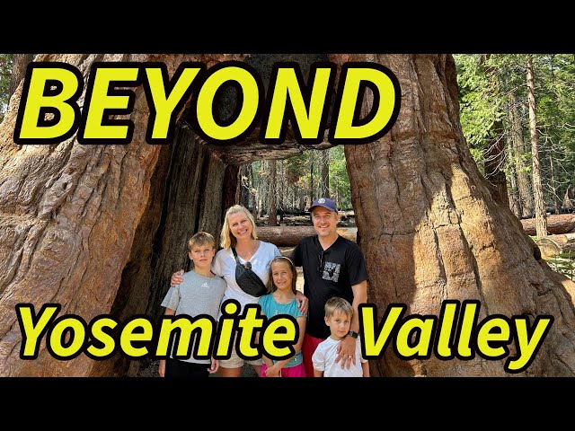 Where to explore OUTSIDE Yosemite Valley!!! Mariposa Grove, Tuolumne County, Jamestown, Columbia!