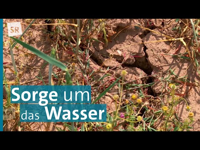 Zwischen Dürre und Starkregen - Auf den Spuren des Klimawandels im Saarland
