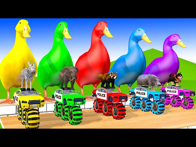 5 Giant Duck, Monkey, Piglet, chicken, dog, elephant, cow, Sheep, Transfiguration funny animal 2024
