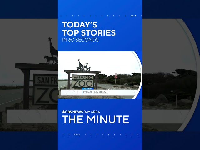 The Minute: Vehicle plunges off of HWY 1, a retail theft ring, and San Francisco Zoo welcomes pandas