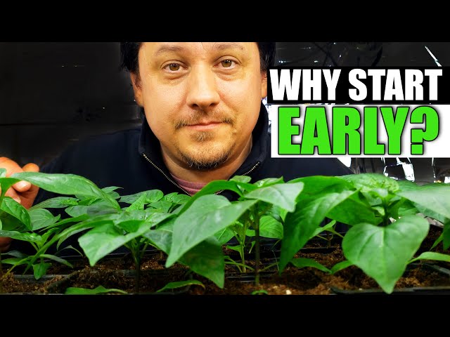 Why Start Early - Garden Quickie Episode 56