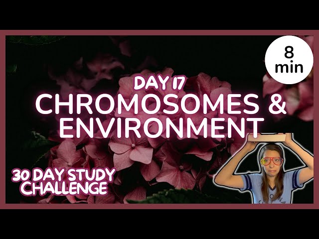 Day 17: Chromosomes & Environmental Effects on Genes - 30 Day Biology Study Challenge 2024
