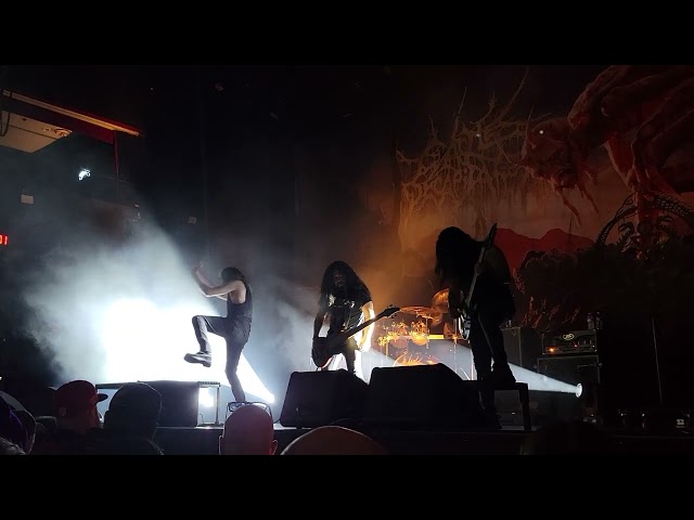 Cattle Decapitation 5/26/2024   Live in Las Vegas NV at House of Blues  (Full Set ) Chaos  Carnage