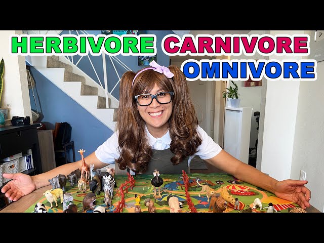 Herbivore, Carnivore and Omnivore Animals for Kids | Educational Videos for Kids