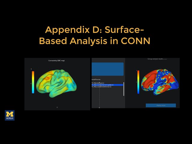 CONN Tutorial, Appendix D: Surface-Based Analysis