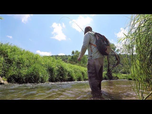 Fly fishing road trip through the Wisconsin Driftless