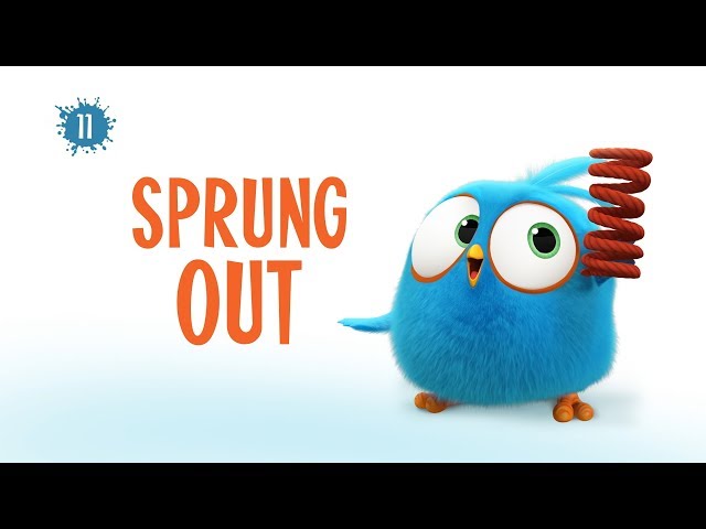 Angry Birds Blues | Sprung Out - S1 Ep11