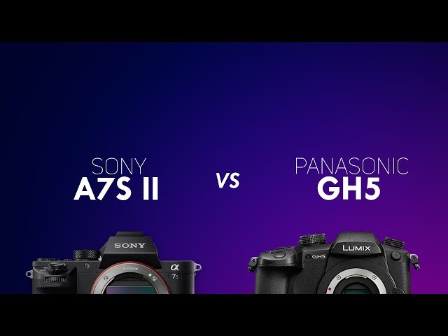 Sony a7s ii vs  Panasonic GH5