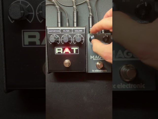 ProCo RAT2 vs TC Electronic MAGUS PRO. Lead guitar then rhythm into a Marshall 1987x