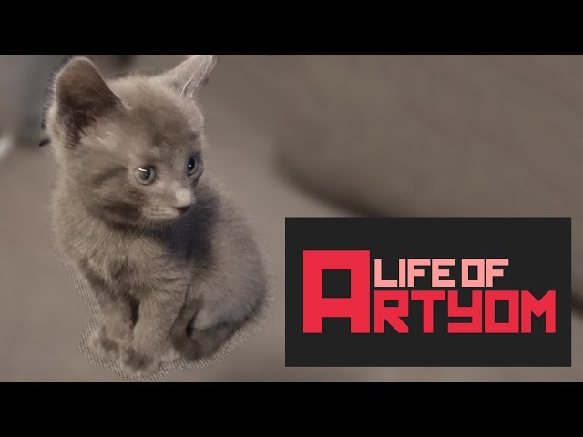 Life of Artyom