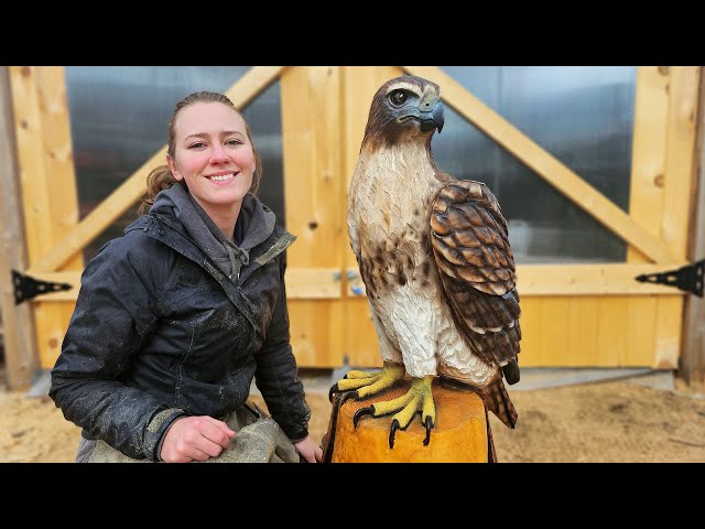 Turning a Log into a Large Hawk