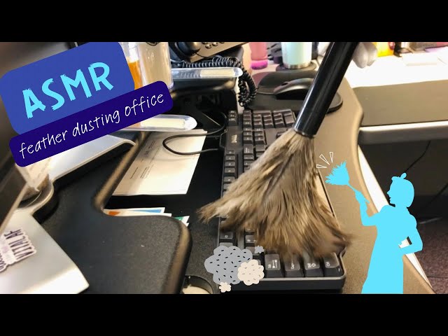 ASMR feather dusting office space. No talking. Bonus material at the end! #asmr #asmrdusting