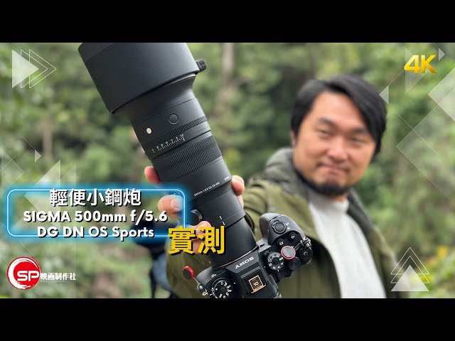 輕便小鋼炮 鳥攝中入門之選 ｜ Sigma 500mm f/5.6 DG DN OS Sports 實測