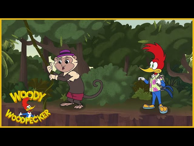 Woody Woodpecker | Jungle Secret | Full Episodes
