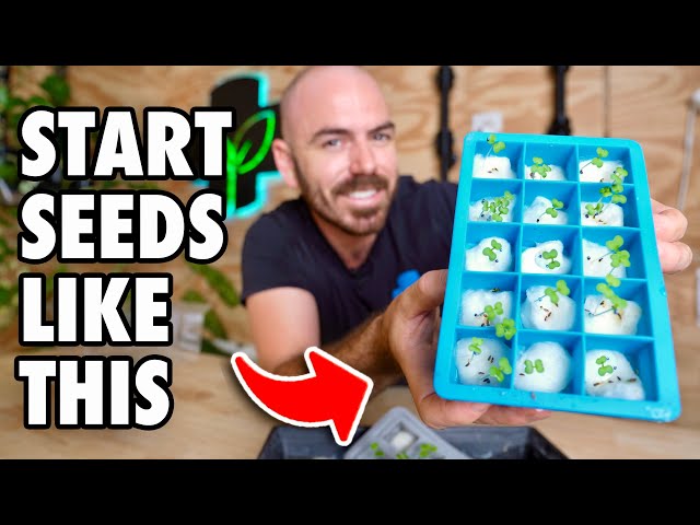 The New Best Way to Start Your Seeds!
