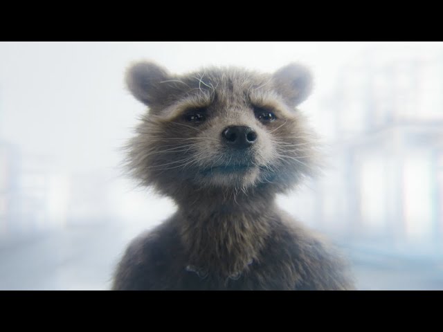 Guardians of the Galaxy Vol 3 trailer but only Rocket