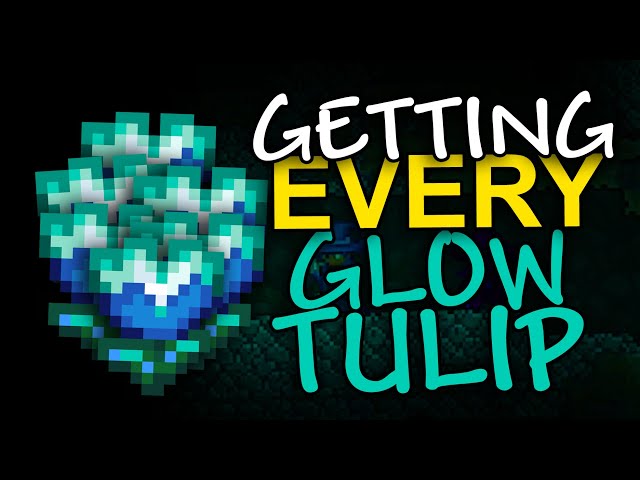 How fast can I find EVERY Glow Tulip in Terraria?