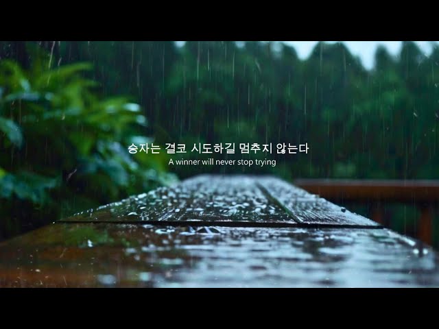 Rain Sounds for Sleeping - Fall Asleep Immediately to the Sound of Rain in the Forest 🌧️💤