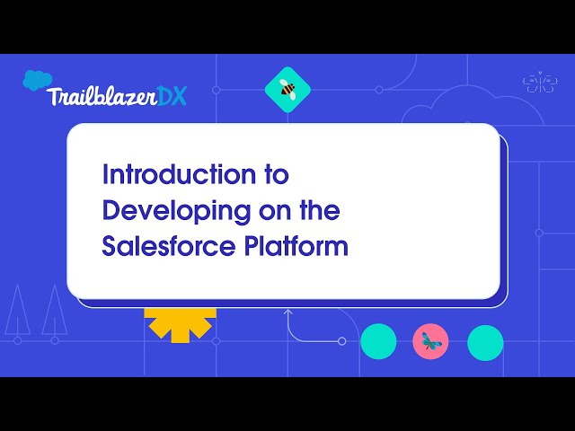 Introduction to Developing on the Salesforce Platform