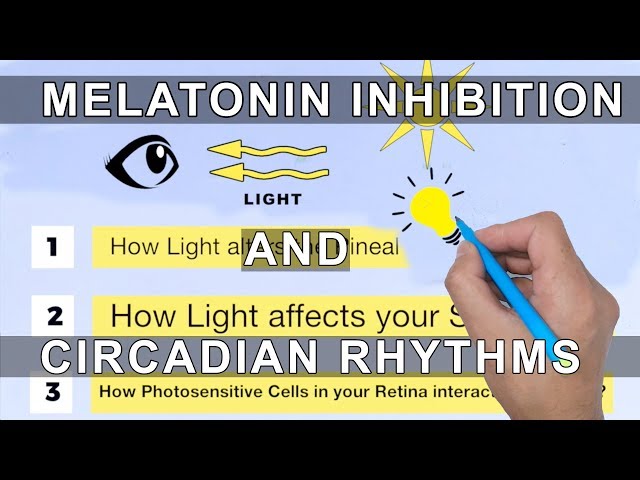 Melatonin Inhibition and Circadian Rhythms