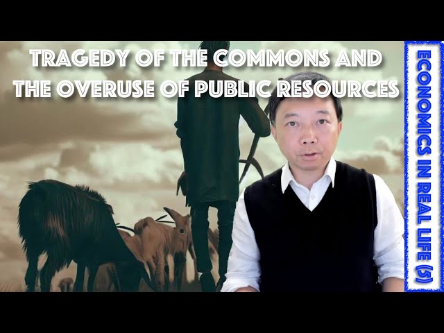 Tragedy of the Commons and the Overuse of Public Resources | Economics in Real Life (Episode 5)