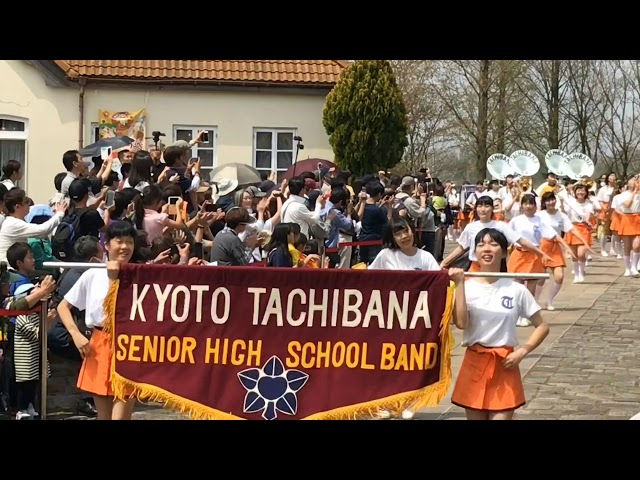 京都橘高校吹奏楽部 ブルーメの丘パレード2019 午前の部 にぎわいのエリアでSing Sing Sing