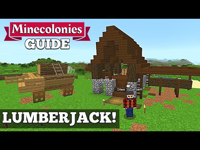 Minecolonies Guide - The Lumberjack! #11