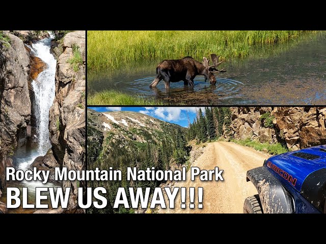 Rocky Mountain National Park BLEW US AWAY!! - Colorado Overland 2022 Day 7