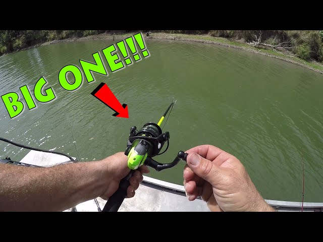 Catching Crappie! Minnows attract Monster Fish!
