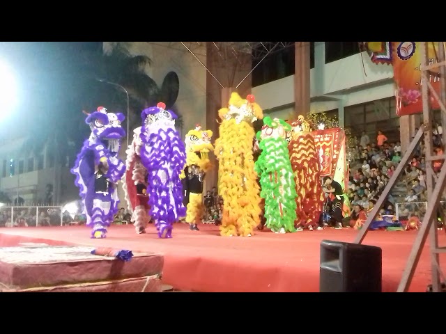 Lion dance  2