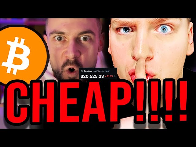 CHEAP AND DIRTY AI MICROCAPS THAT CAN MAKE YOU MILLIONS!!!! (high risk, high reward) ft @TomNifty