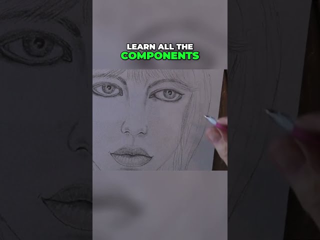 From Beginner to Pro: Mastering the Art of Drawing Faces