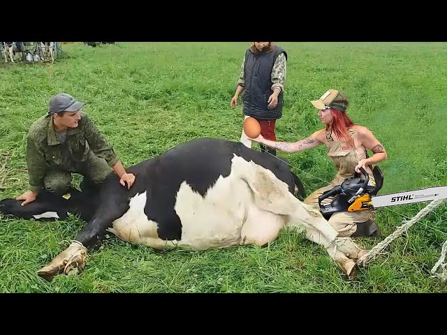 Ultimate Farming Innovations Straw Stacking Milking Silage Hills Holstein Cows & Big Machines!