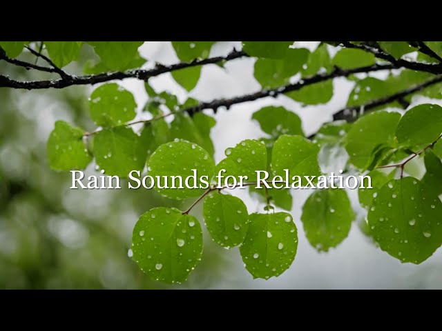 Ambient Sounds for Relaxation | Ambient Music and Rain Sounds for Deep Sleep and Relaxation 🌧️🌊