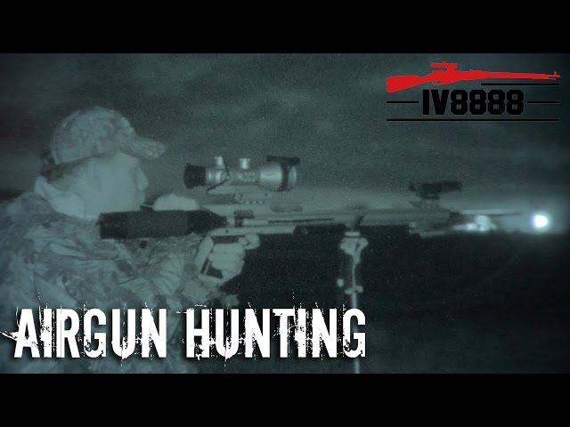 Airgun Predator Hunting 101