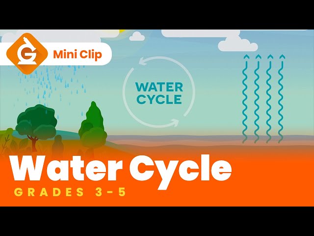 Water Cycle for Kids | Grades 3-5 | Mini-Lesson | Generation Genius
