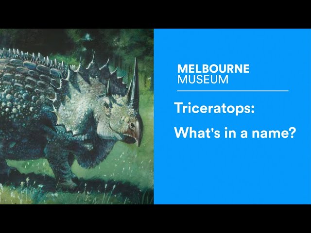Triceratops: What's in a name?