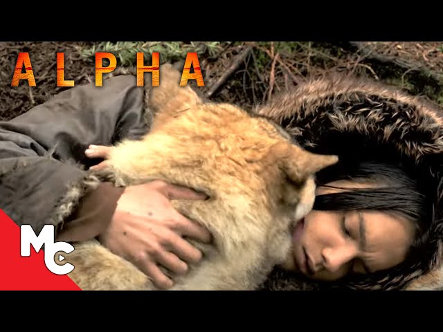 Alpha | A Wolf Becomes A Friend | Full Movie Scene