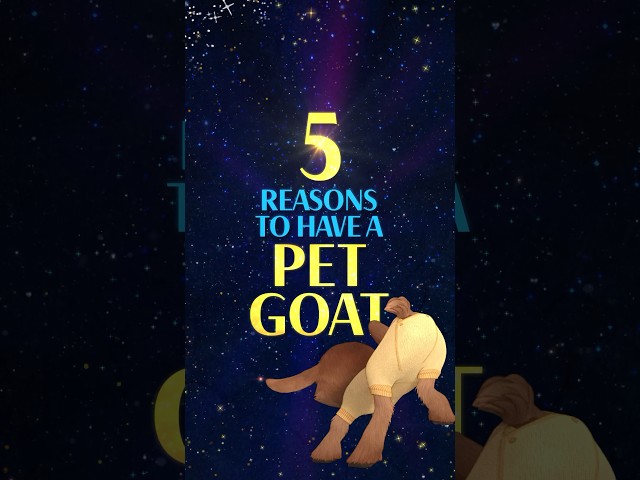 5 Reasons To Have A Pet Goat ✨ | Wish | Disney Kids