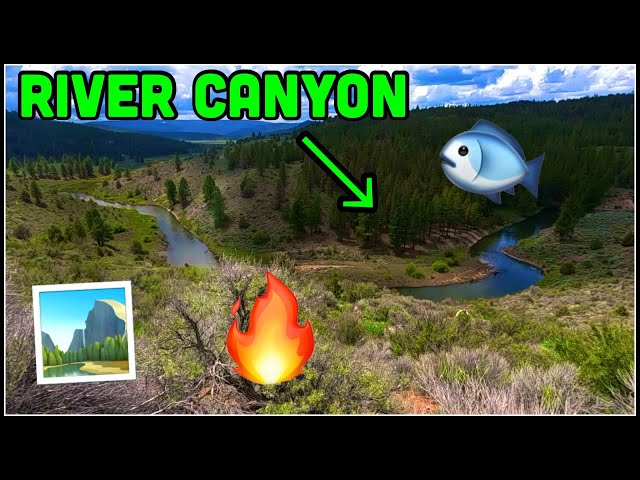 TROUT FISHING Remote OREGON River!! (Catch & Cook)