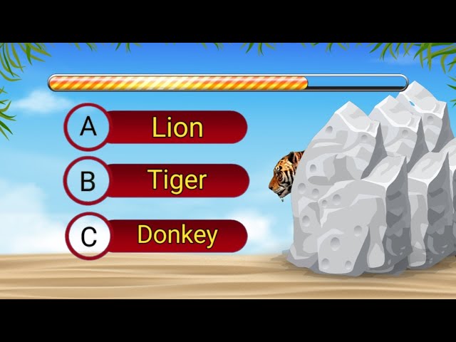 Quiz! What animals hide behind the rocks?!