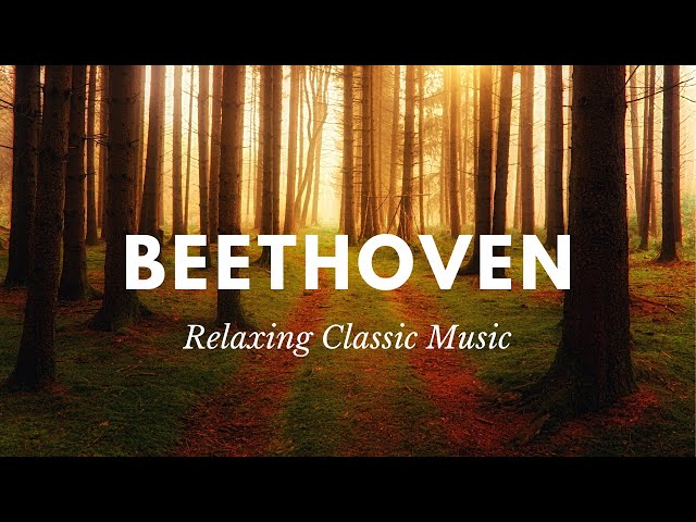 BEETHOVEN | RELAXING Classical Music for Studying, Concentration, Relaxation (Calming Sleep Music)
