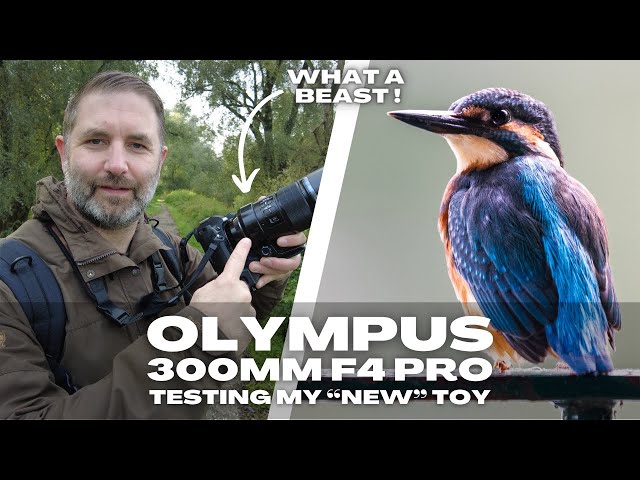 I Secretly Added a Lens to My Kit. Olympus 300mm f4 IS PRO What a Beast!