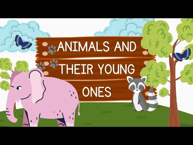 Animal young ones | Learn about animals and their young ones easily!