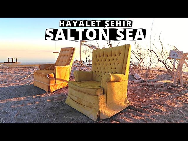 AMERİKA'DA Bir Hayalet Şehir - Zehirli Göl Salton Sea