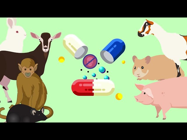 How Medicines Are Made