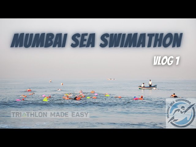 Mumbai Sea Swimmers Swimathon 2021 | Can you swim 5 km in the Arabian sea ? | Volunteer Vlog 1