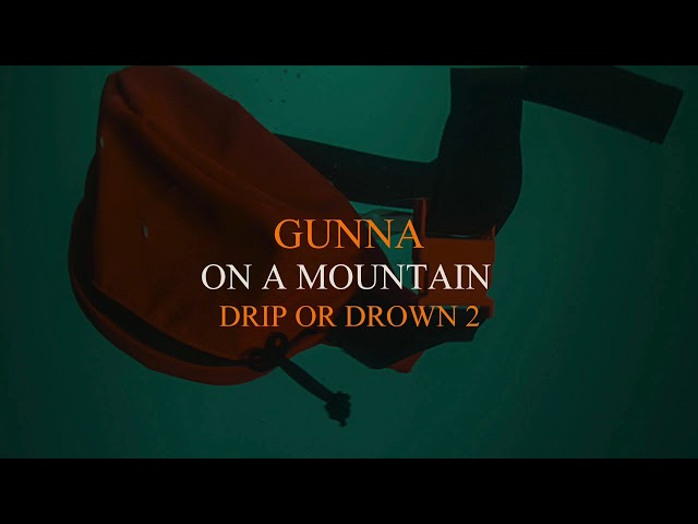 Gunna - On A Mountain [Official Audio]
